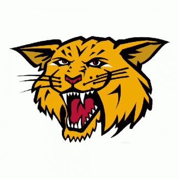 2003 04-2008 09 Moncton Wildcats Alternate Logo Light Iron-on Stickers (Heat Transfers)