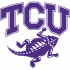 2001-Pres TCU Horned Frogs Alternate Logo Light Iron-on Stickers (Heat Transfers)