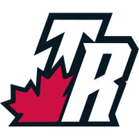 Toronto Raptors Alternate Logo  Light Iron-on Stickers (Heat Transfers)