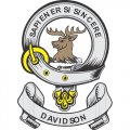 Davidson Clan Badge Light Iron On Stickers (Heat Transfers)