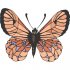 Butterfly Light Iron On Stickers (Heat Transfers) version 9