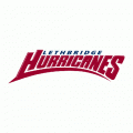 2009 10-2010 11 Lethbridge Hurricanes Primary Logo Light Iron-on Stickers (Heat Transfers)