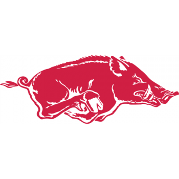 Arkansas Razorbacks 1967-2000 Primary Logo Light Iron-on Stickers (Heat Transfers)