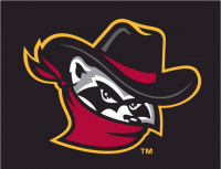 Quad Cities River Bandits cap logo (2008-pres)Light Iron-on Stickers (Heat Transfers) 01