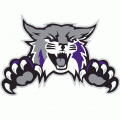 2012-Pres Weber State Wildcats Alternate Logo Light Iron-on Stickers (Heat Transfers)