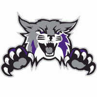 2012-Pres Weber State Wildcats Alternate Logo Light Iron-on Stickers (Heat Transfers)