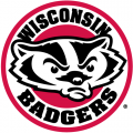 2002-Pres Wisconsin Badgers Alternate Logo Light Iron-on Stickers (Heat Transfers)