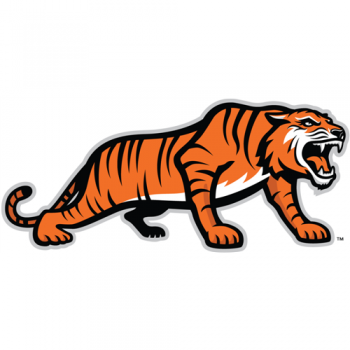 RIT Tigers 2004-Pres Alternate Logo2 Light Iron-on Stickers (Heat Transfers)