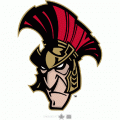 2008 09-Pres Binghamton Senators Alternate Logo Light Iron-on Stickers (Heat Transfers)