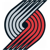 Portland Trail Blazers Alternate Logo  Light Iron-on Stickers (Heat Transfers)