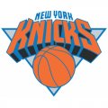 New York Knickerbockers Primary Logo  Light Iron-on Stickers (Heat Transfers)