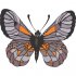 Butterfly Light Iron On Stickers (Heat Transfers) version 8