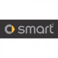 Smart logo Light Iron On Stickers (Heat Transfers)