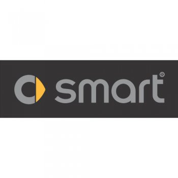 Smart logo Light Iron On Stickers (Heat Transfers)