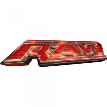 WWE Logo Light Iron-on Stickers (Heat Transfers) N3072