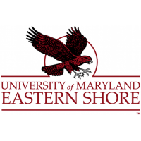 2007-Pres Maryland-Eastern Shore Hawks Alternate Logo Light Iron-on Stickers (Heat Transfers)