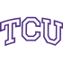 1995-Pres TCU Horned Frogs Wordmark Logo Light Iron-on Stickers (Heat Transfers)