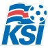 Iceland Football Confederation Light Iron-on Stickers (Heat Transfers)