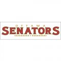 Ottawa Senators Script Logo  Light Iron-on Stickers (Heat Transfers) version 2