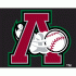 Altoona Curve cap logo(1999-2010)Light Iron-on Stickers (Heat Transfers) 02