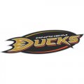 Anaheim Ducks Alternate Logo  Light Iron-on Stickers (Heat Transfers) version 2