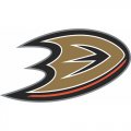 Anaheim Ducks Alternate Logo  Light Iron-on Stickers (Heat Transfers) version 1