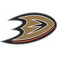 Anaheim Ducks Alternate Logo  Light Iron-on Stickers (Heat Transfers) version 1