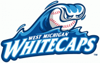 West Michigan Whitecaps primary logo (2003-pres)Light Iron-on Stickers (Heat Transfers) 01