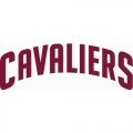 Cleveland Cavaliers Script Logo  Light Iron-on Stickers (Heat Transfers) version 1