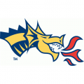 2002-Pres East Tennessee State Buccaneers Alternate Logo