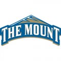 2007-Pres Mount St. Marys Mountaineers Primary Logo Light Iron-on Stickers (Heat Transfers)