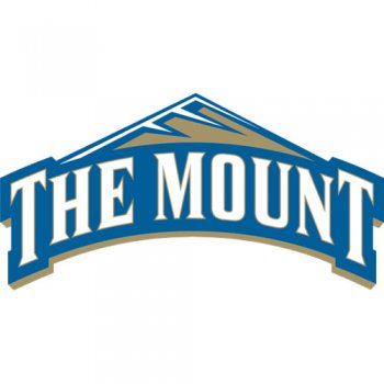 2007-Pres Mount St. Marys Mountaineers Primary Logo Light Iron-on Stickers (Heat Transfers)