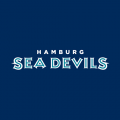 Hamburg Sea Devils 2005-2007 Wordmark Logo Light Iron-on Stickers (Heat Transfers)