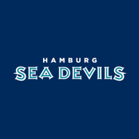 Hamburg Sea Devils 2005-2007 Wordmark Logo Light Iron-on Stickers (Heat Transfers)