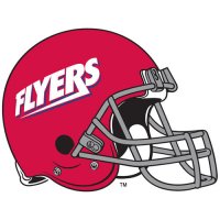 1995-Pres Dayton Flyers Helmet Logo Light Iron-on Stickers (Heat Transfers)