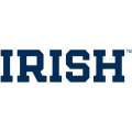 0-Pres Notre Dame Fighting Irish Wordmark Logo Light Iron-on Stickers (Heat Transfers)