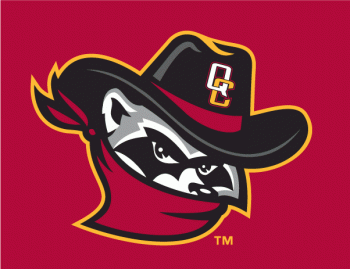 Quad Cities River Bandits cap logo (2011-pres)Light Iron-on Stickers (Heat Transfers) 02