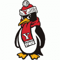 1989-Pres Youngstown State Penguins Mascot Logo Light Iron-on Stickers (Heat Transfers)