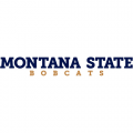 2013-Pres Montana State Bobcats Wordmark Logo Light Iron-on Stickers (Heat Transfers)