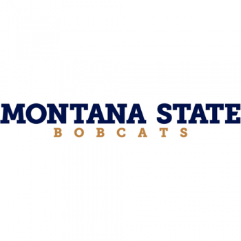 2013-Pres Montana State Bobcats Wordmark Logo Light Iron-on Stickers (Heat Transfers)