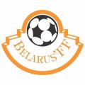 Belarus Football Confederation Light Iron-on Stickers (Heat Transfers)