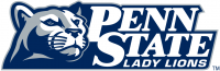 Penn State Nittany Lions 2001-2004 Alternate Logo Light Iron-on Stickers (Heat Transfers) 2