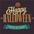 Trick or treat Halloween party shirt Heat transfer 2