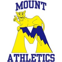 1995-2006 Mount St. Marys Mountaineers Primary Logo Light Iron-on Stickers (Heat Transfers)