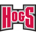 Arkansas Razorbacks 2001-2008 Wordmark Logo Light Iron-on Stickers (Heat Transfers)