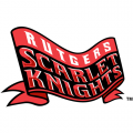 2001-Pres Rutgers Scarlet Knights Alternate Logo Light Iron-on Stickers (Heat Transfers)