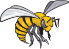 Alabama State Hornets