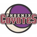 Phoenix Coyotes Alternate Logo  Light Iron-on Stickers (Heat Transfers) version 1