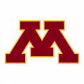 1986-Pres Minnesota Golden Gophers Alternate Logo Light Iron-on Stickers (Heat Transfers)