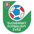 Slovakia Football Confederation Light Iron-on Stickers (Heat Transfers)